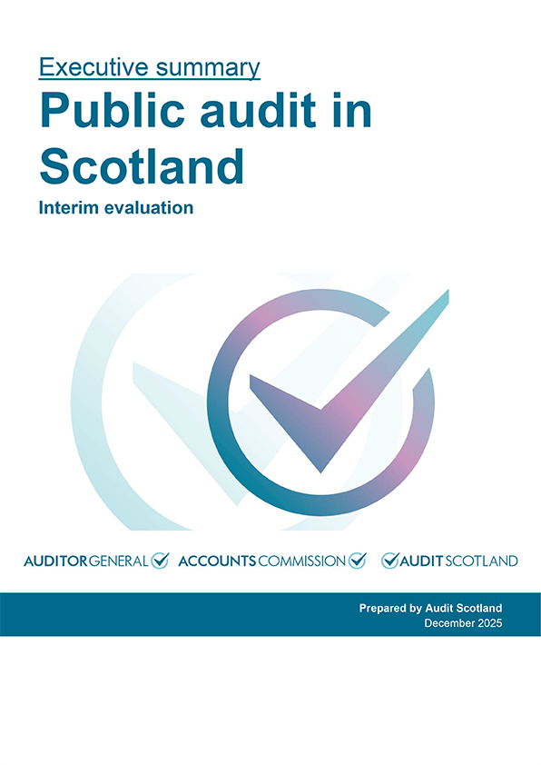 Executive summary of Public audit in Scotland: Interim evaluation
