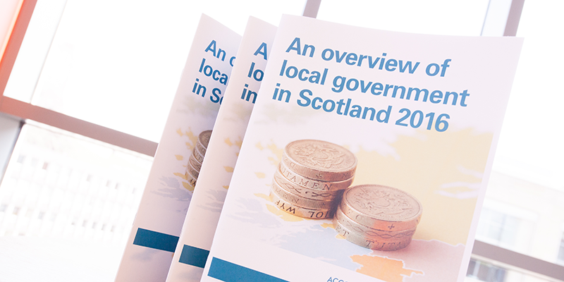 Local government overview report
