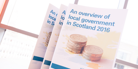Local government overview report