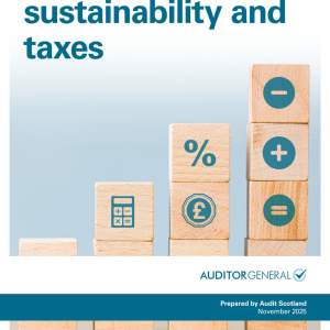 Financial sustainability and taxes