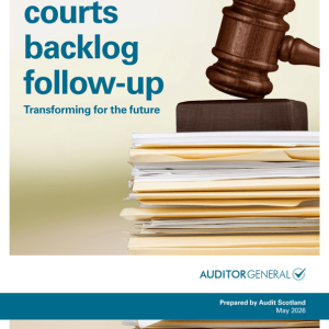 Criminal courts backlog follow-up