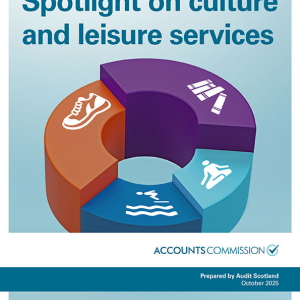 Local government performance: Spotlight on culture and leisure services